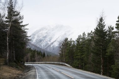 Norveç'te yol