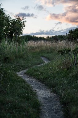 Bir alan üzerinden gidiş yolu