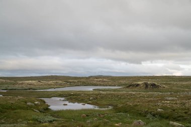 Hardangervidda'da dağın alan