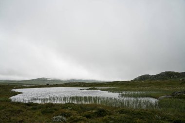 Hardangervidda'da dağın alan