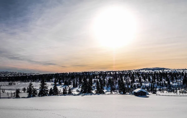 Χειμώνας Ηλιοβασίλεμα Στη Νορβηγία — Φωτογραφία Αρχείου