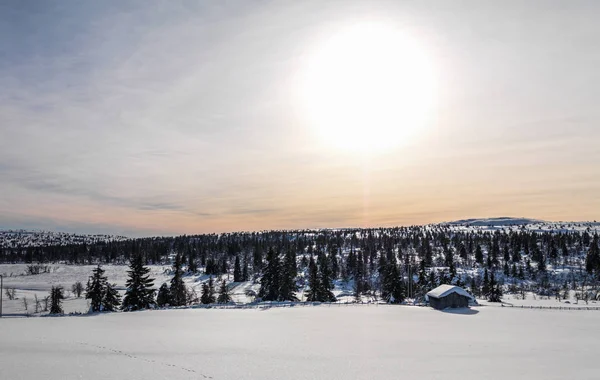 Χειμώνας Ηλιοβασίλεμα Στη Νορβηγία — Φωτογραφία Αρχείου