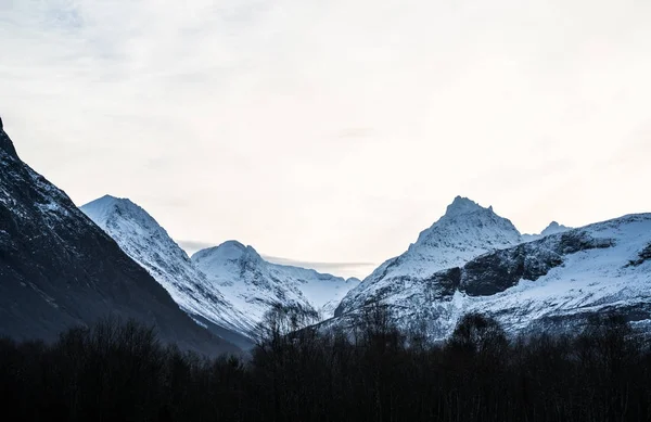 Die Alpen Von Sunnmore Norwegen — Stockfoto
