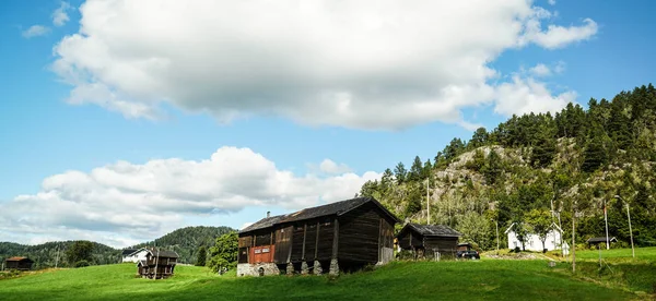 Nyári Mezőgazdasági Norvégiában — Stock Fotó