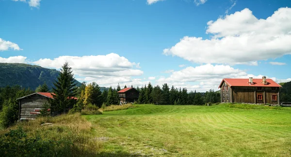 挪威的夏日农场 — 图库照片