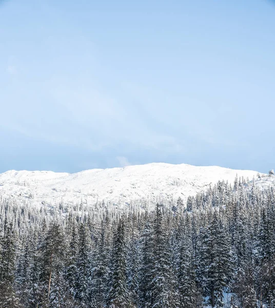 在挪威的冬天 — 图库照片