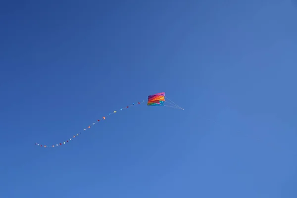 Drachen steigen lassen — Stockfoto