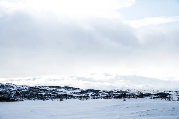 冬天在东部挪威 — 图库照片