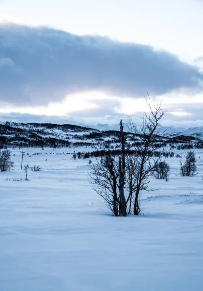 Invierno en Noruega Oriental —  Fotos de Stock