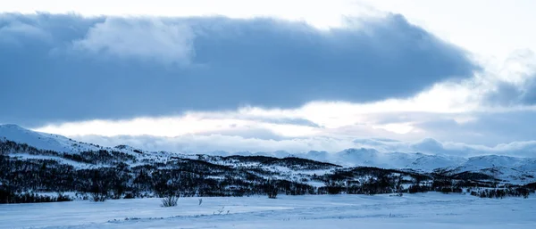Χειμώνα σε Ανατολική Νορβηγία — Φωτογραφία Αρχείου
