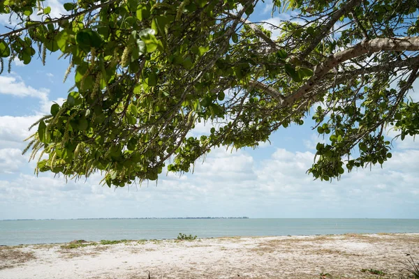 Fort de Soto en Florida — Foto de Stock