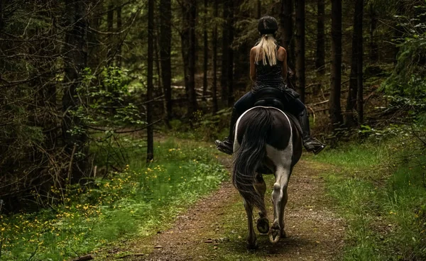 Horseback — Stock Photo, Image