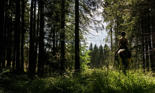 Häst — Stockfoto