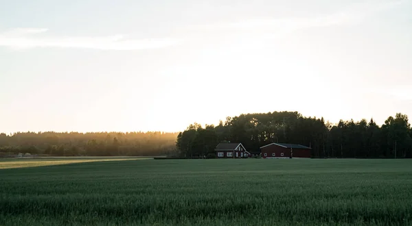 日落在 Vestfold — 图库照片