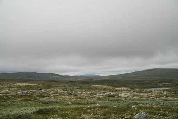 Hardangervidda'da dağın alan — Stok fotoğraf