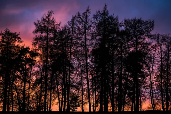 Zonsondergang in Oslo Rechtenvrije Stockafbeeldingen