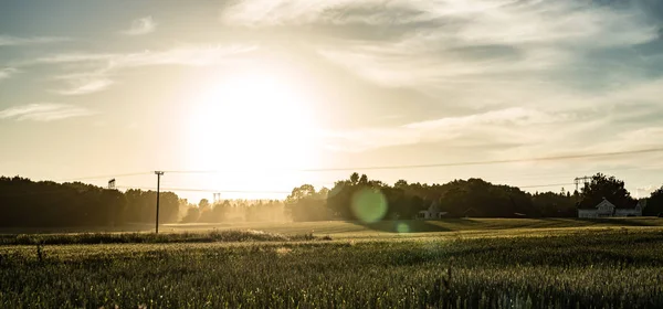 Zonsondergang in Vestfold Stockfoto