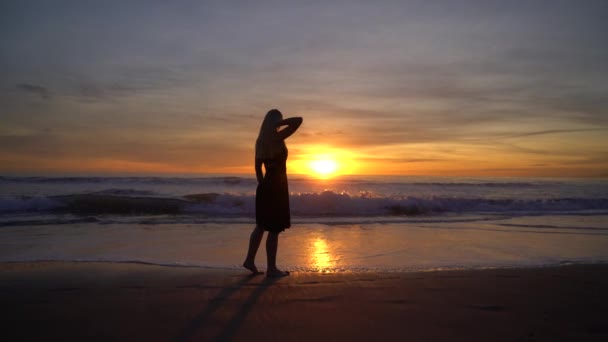 Дівчина Дивиться Захід Сонця — стокове відео