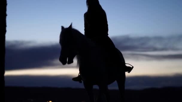 Girl Horse Norway — Stock Video