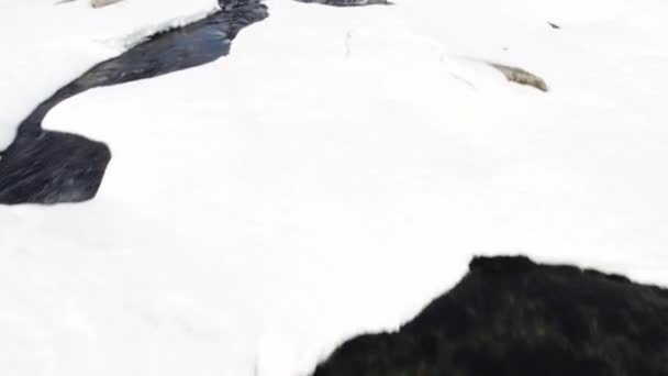 Κατά Διάρκεια Του Χειμώνα Στον Ποταμό Στη Νορβηγία — Αρχείο Βίντεο