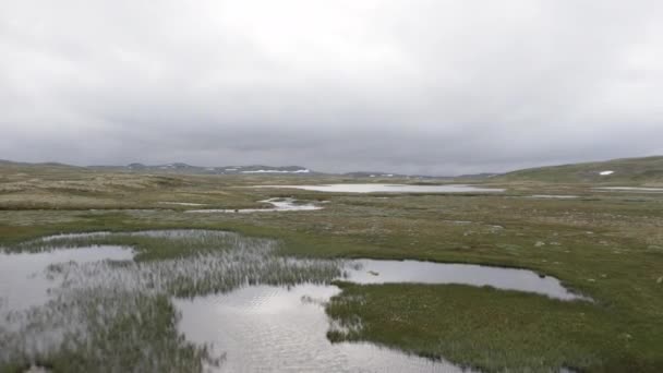 Zona Montañosa Hardangervidda Noruega — Vídeo de stock