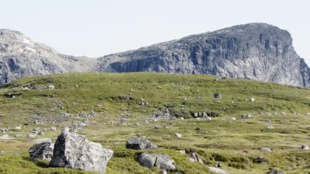 Région Montagneuse Haukeli Norvège — Video