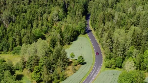 Midtveien Weg Bij Nesodden Noorwegen — Stockvideo