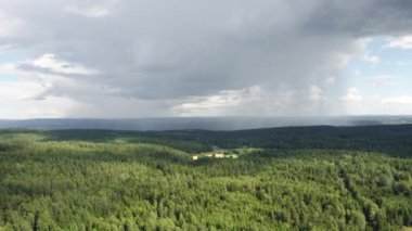 Norveç, Oslo 'nun dışındaki Nesodden Ormanı