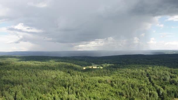 Wald Bei Nesodden Außerhalb Von Oslo Norwegen — Stockvideo
