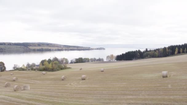 ノルウェーの湖 Mjosa による農業 — ストック動画