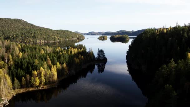 Drone Shot Autumn Forest Lake Norway — Stock Video