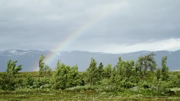 Rainbow Poblíž Riksgrensen Švédsku — Stock video