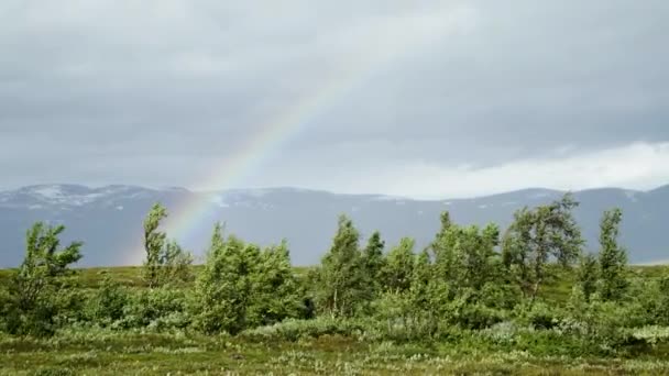 Arco Íris Perto Riksgrensen Suécia — Vídeo de Stock