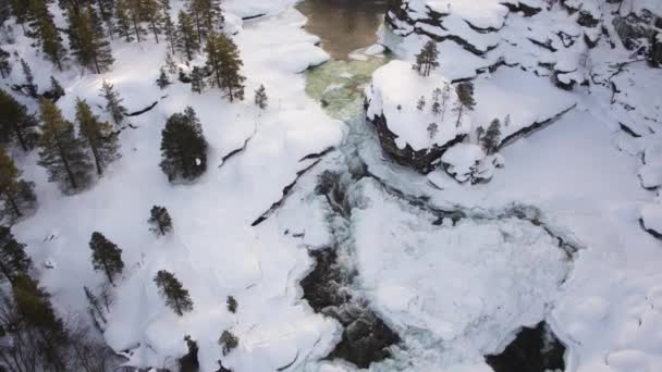 Χειμώνας Δάσος Φαίνεται Από Drone Στη Νορβηγία — Αρχείο Βίντεο