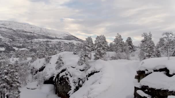 从挪威无人机看到的冬天森林 — 图库视频影像