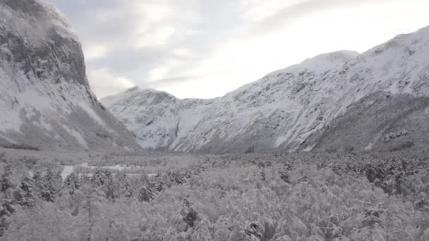 Vinter Norges Västra Kust — Stockvideo