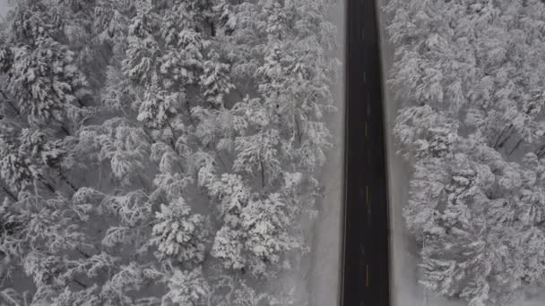 Estrada Inverno Noruega — Vídeo de Stock