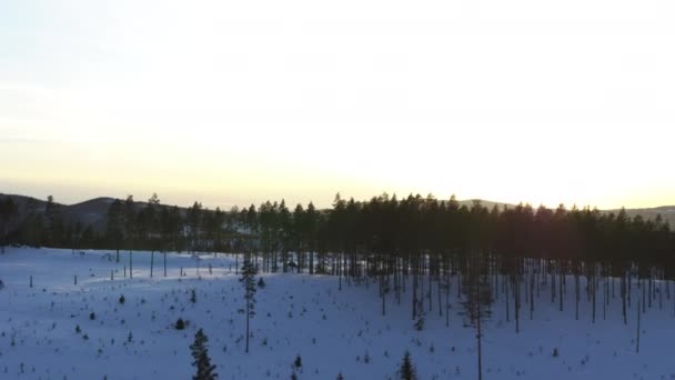 Зима Южной Швеции — стоковое видео