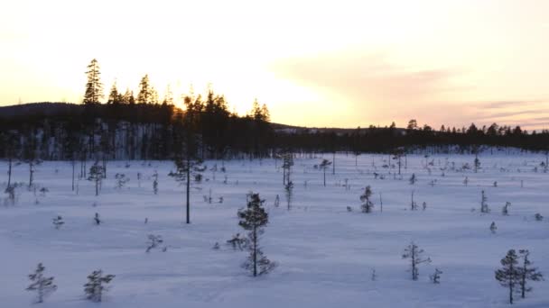 Winter Zuid Zweden — Stockvideo