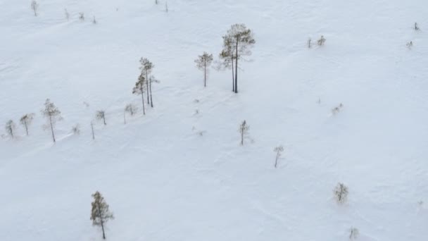 瑞典南部冬季 — 图库视频影像
