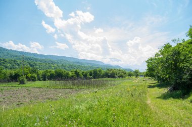 Qusar alanı. Şahdağ dağda görüntüleyin. Azerbaycan