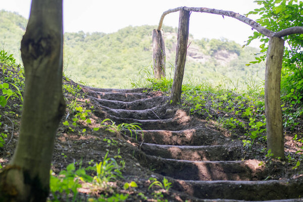Earthen stairs in forest