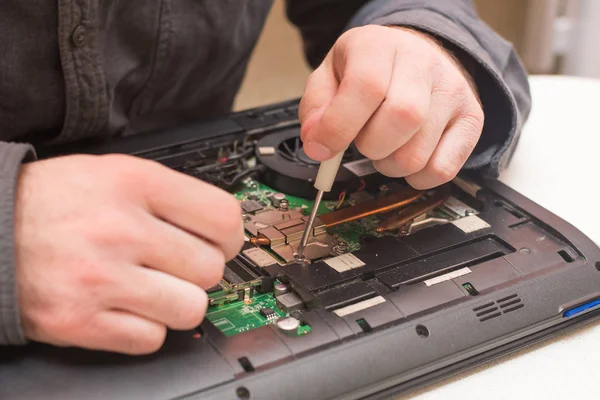 Ana laptop onarım