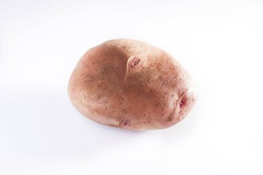 Beyaz arka planda tüm patates yumrusu