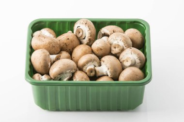 taze kahverengi mantar