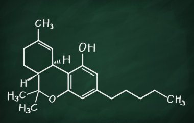 Thc molekülünün yapısal modeli