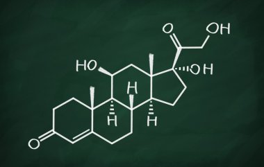 Kortizol yapısal modeli