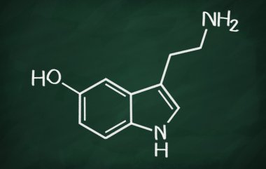 Serotonin yapısal modeli