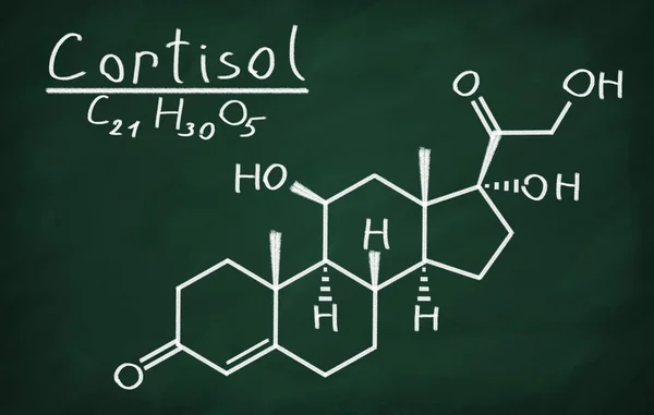 Kortizol yapısal modeli — Stok fotoğraf
