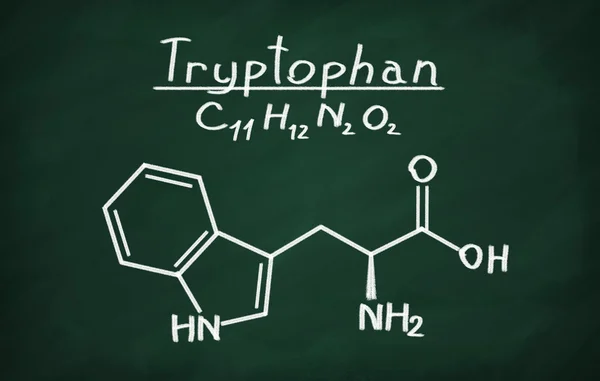 Structurele model van tryptofaan — Stockfoto